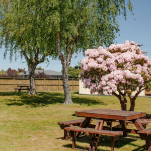 Taupo-Top-10_Menu_Sites-300×300